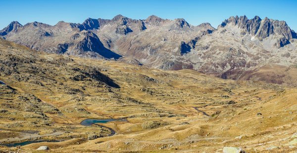 ¿Cuáles son los beneficios de una dieta rica en hierro para los vegetarianos?